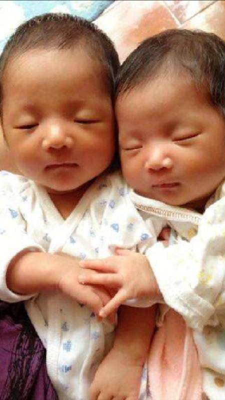 谢娜双胞胎宝宝好可爱,哪个是姐姐?哪个妹妹呢?张杰分辨有妙招-度小视