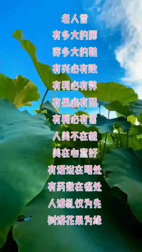 文字控 老人言 民间俗语 人生感悟