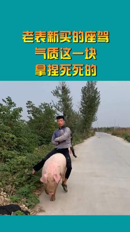 搞笑视频#老表新买的座驾,气质这一块,拿捏死死的!