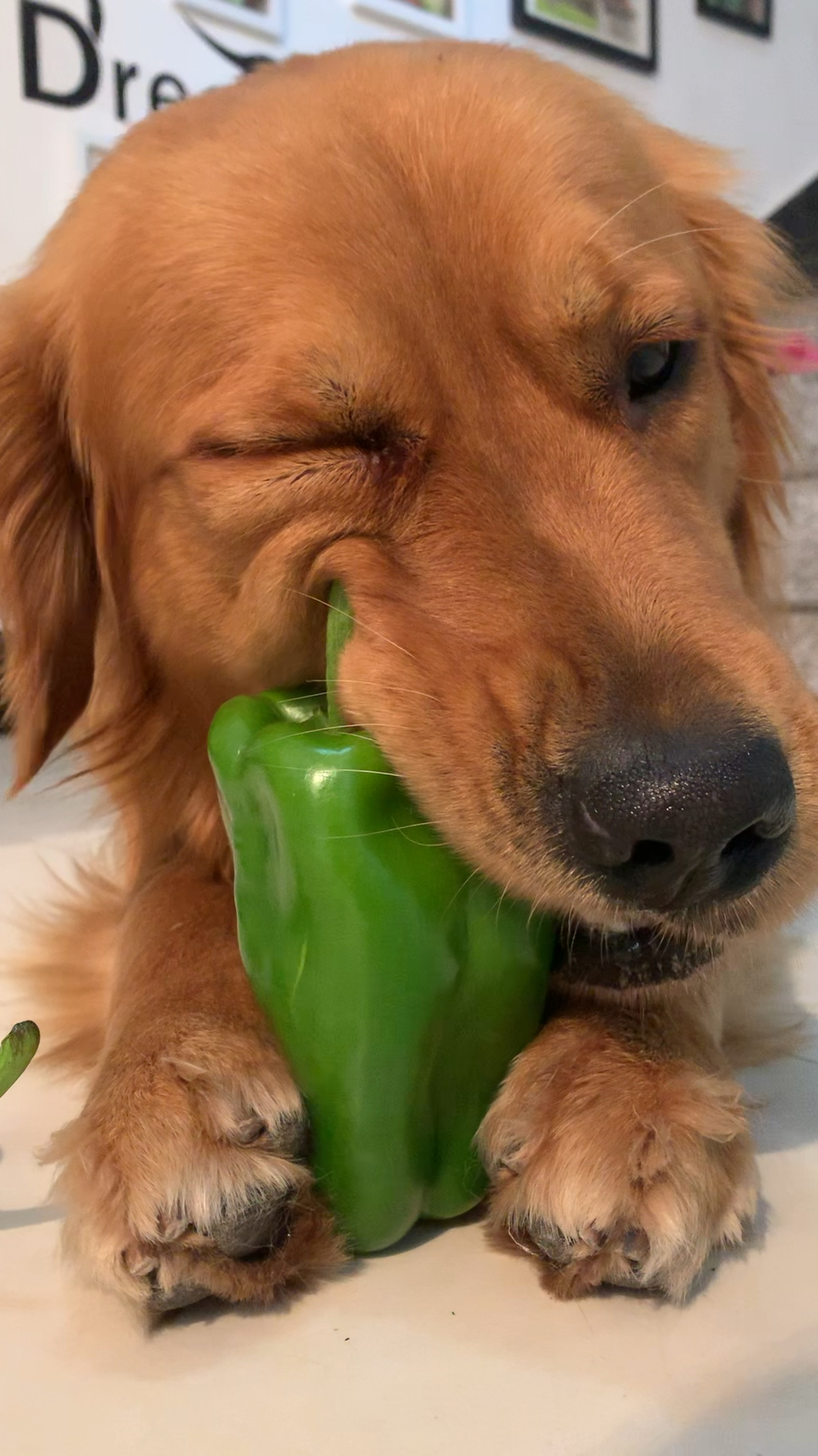 这表情是吃到辣的了吗?