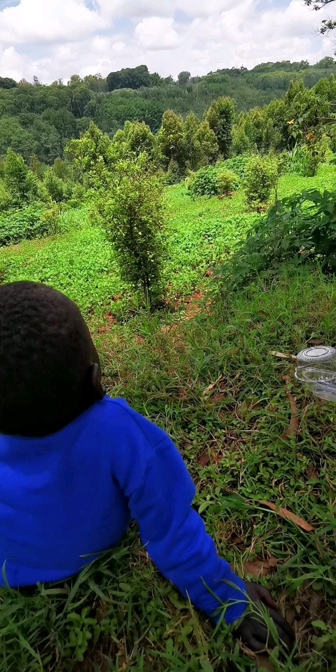 黑蛋蛋,小黑猴子真可爱,就是有点被网友嫌弃丑.