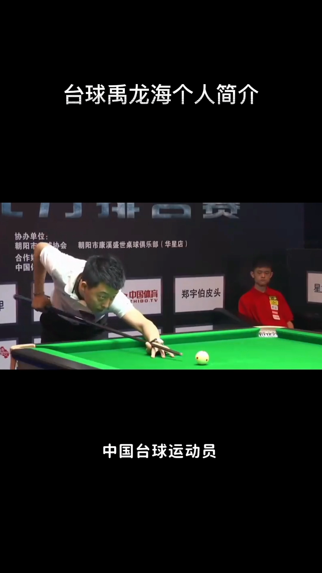 台球禹龙海个人简介