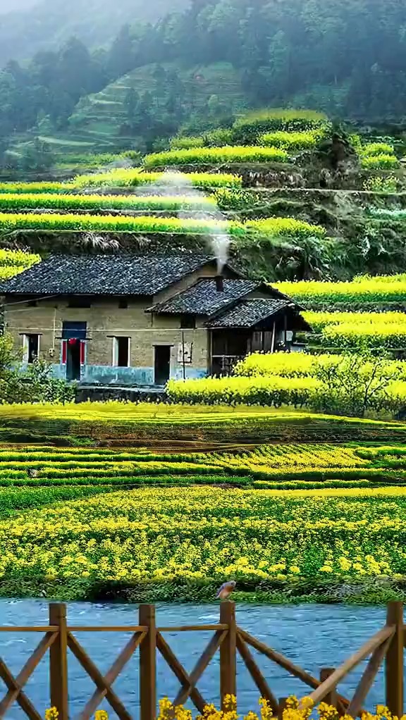 一缕炊烟,一间瓦房,一片田野,四季流转,隐居于此,也许这就是大家向往