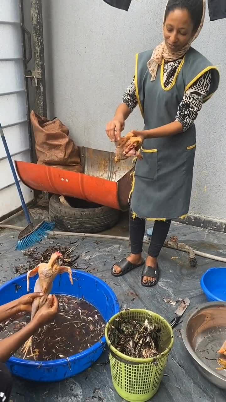 这是非洲女人杀鸡的场面,有点不忍直视