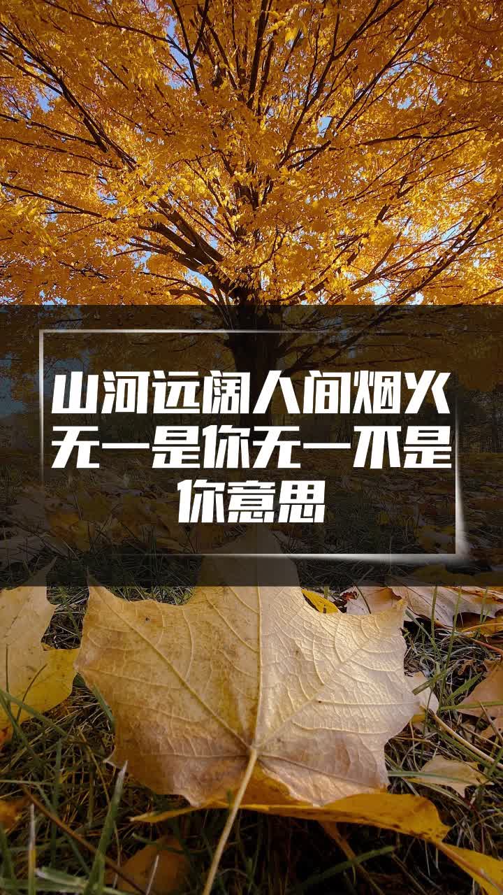 山河远阔人间烟火无一是你无一不是你意思