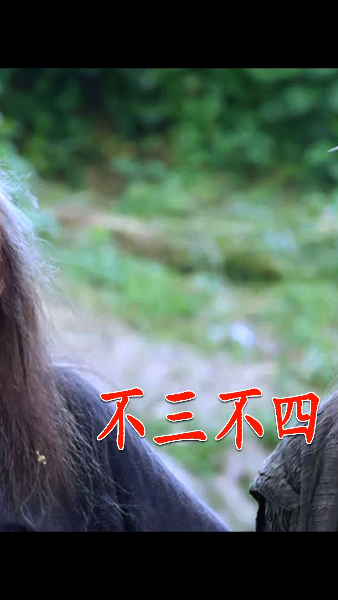 侠客行#白万剑大战丁不三,丁不四一看有人欺负兄弟,立马就发飙了!