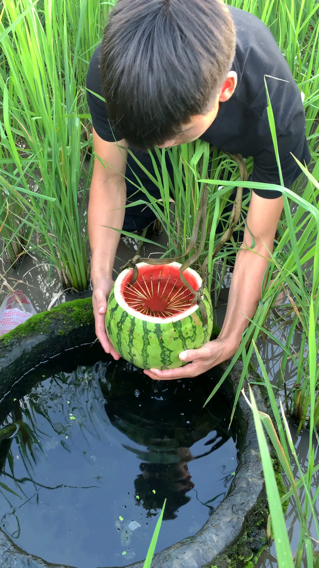 我要上热门#西瓜抓鱼陷阱