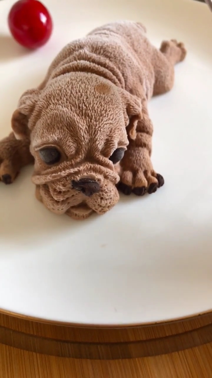 网红沙皮狗一看就会