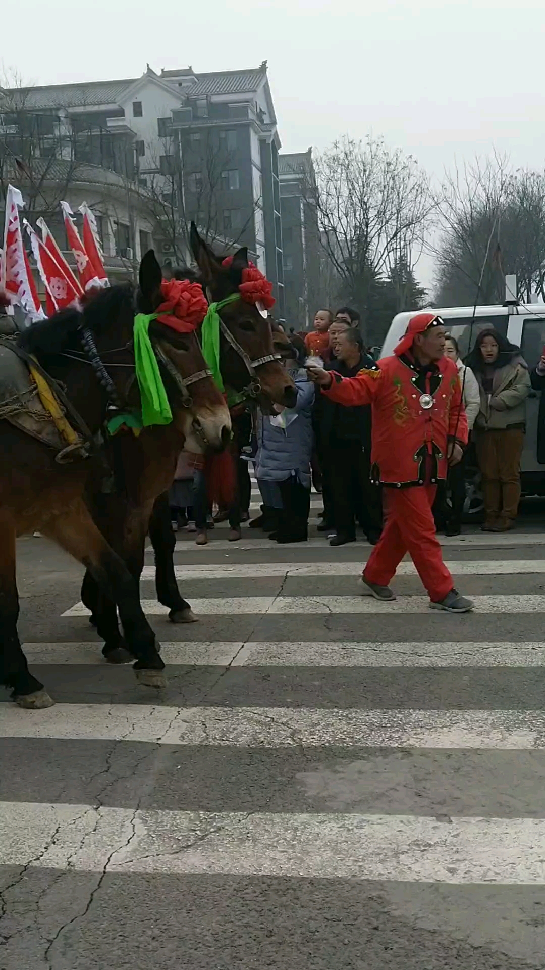 马拉鼓车图片图片