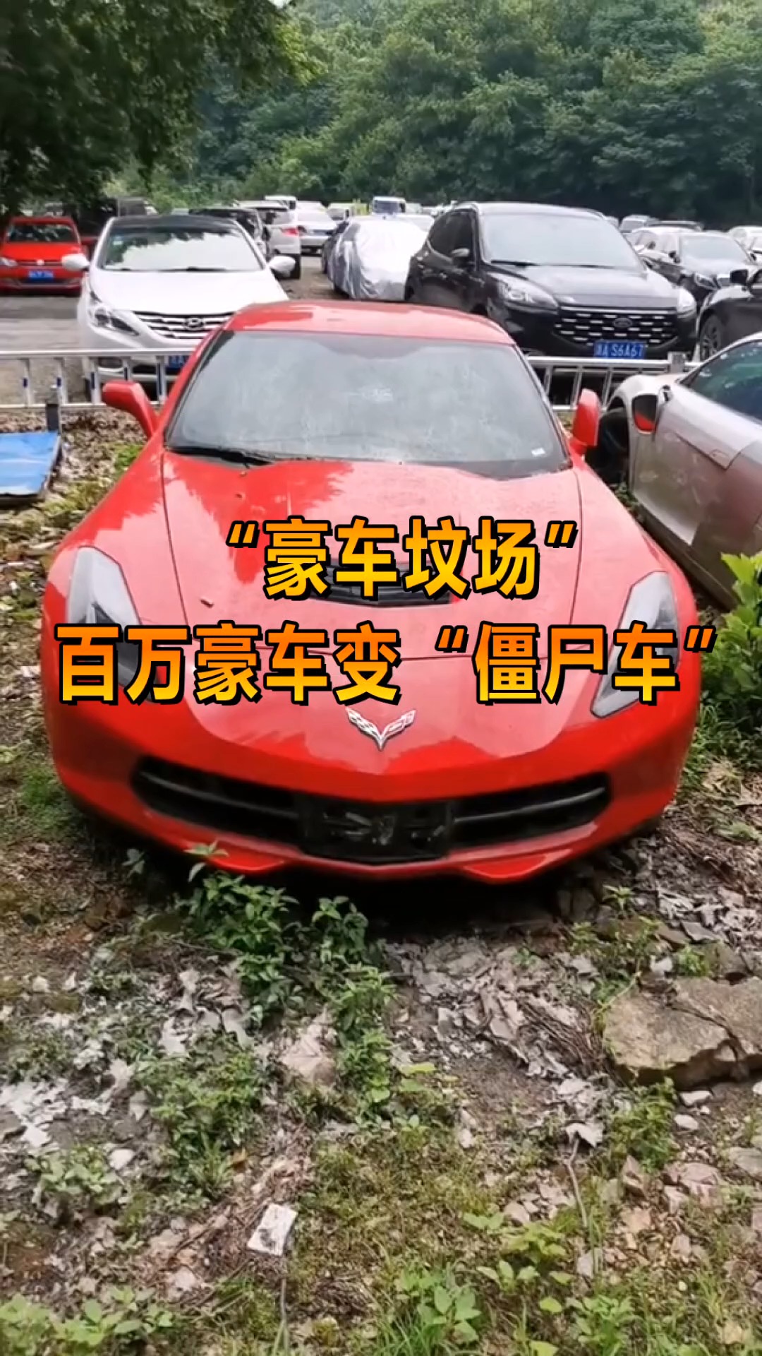 奇趣#浙江"豪车坟场",百万豪车变"僵尸车",是没人开吗?