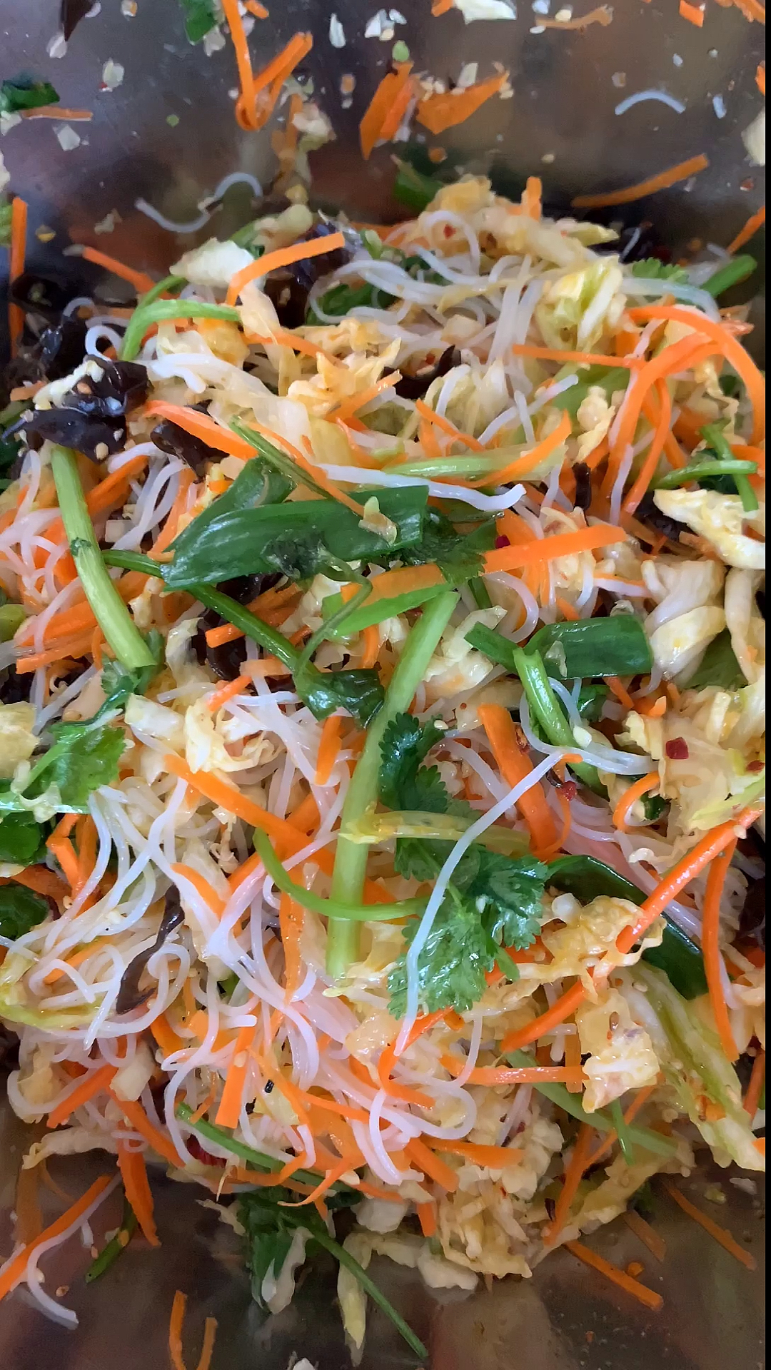 城市田园生活#白菜拌粉丝&山菜广东菜