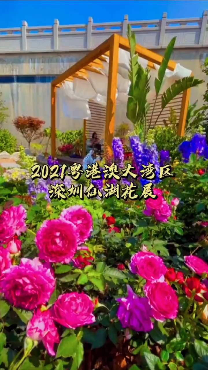 2021粤港澳大湾区深圳花展3月20号开幕,展期到3月29