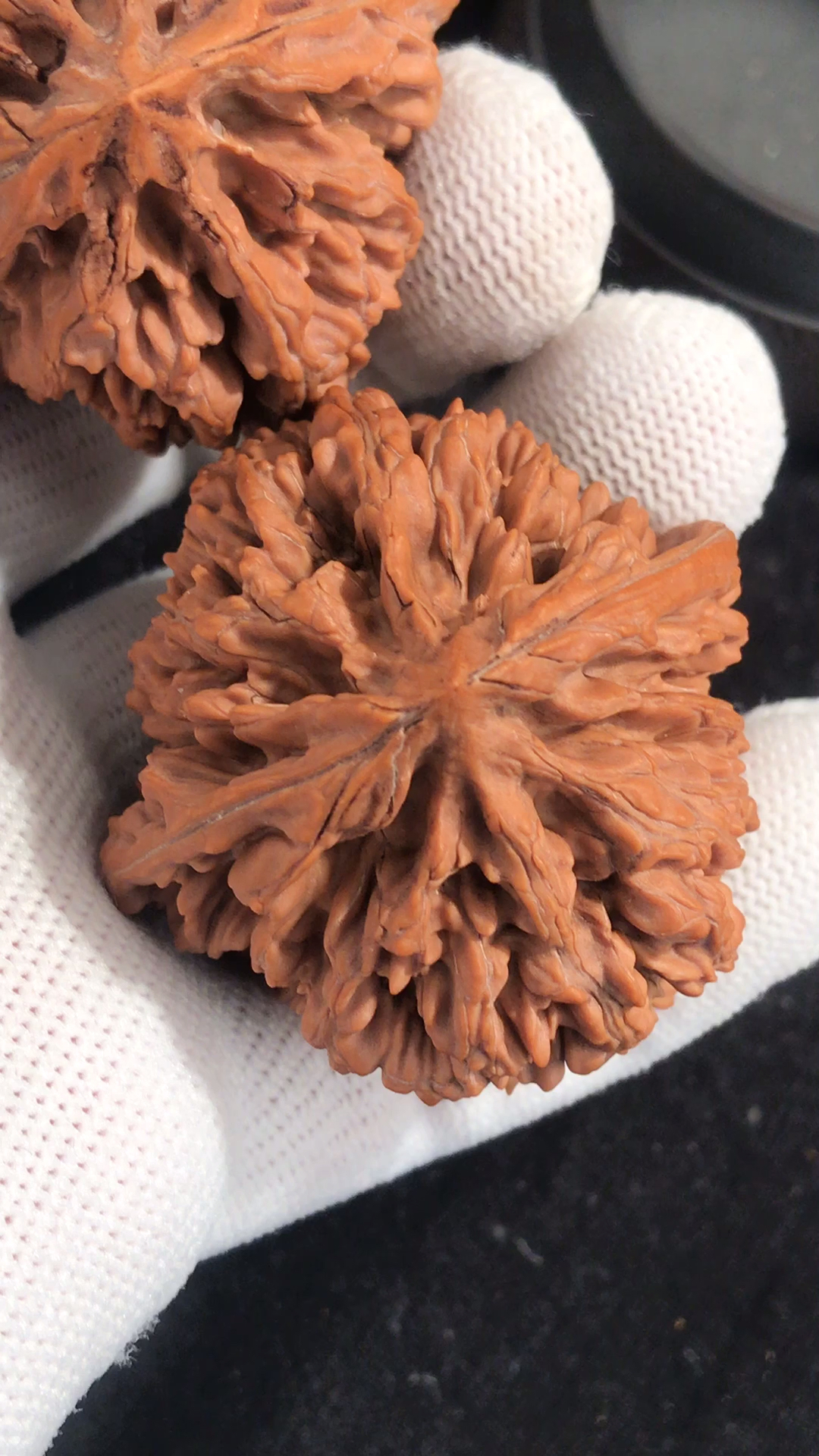 文玩核桃#61多克的状元冠