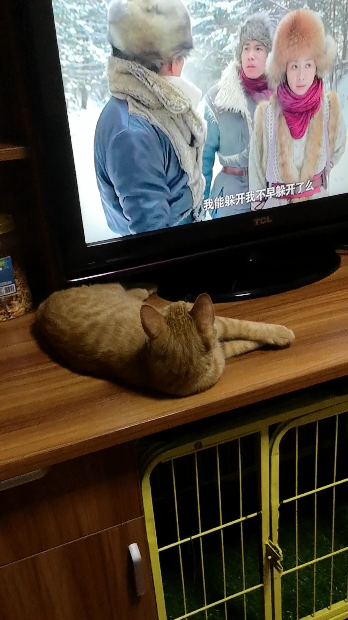 这孩子不听话～这么看电视,眼睛一准会近视