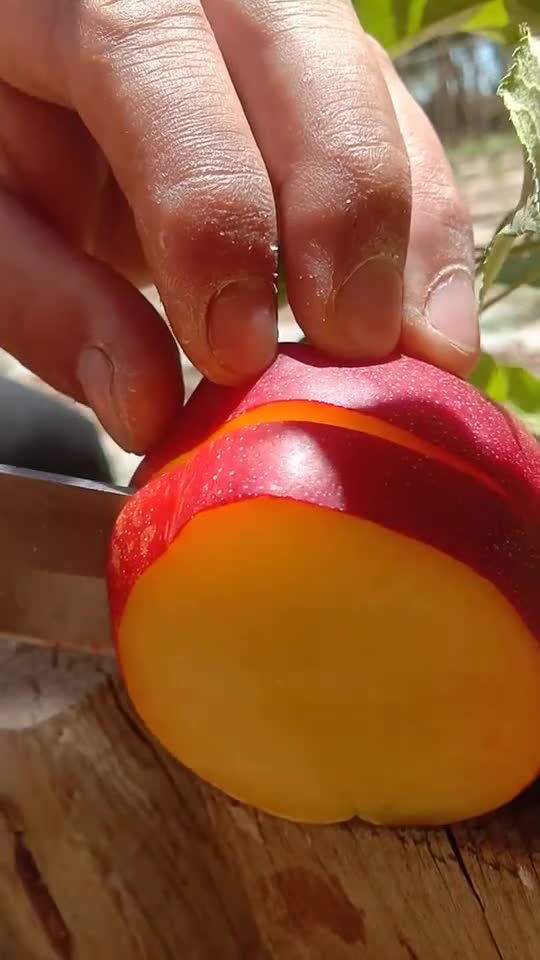 本日简简略单切个油桃