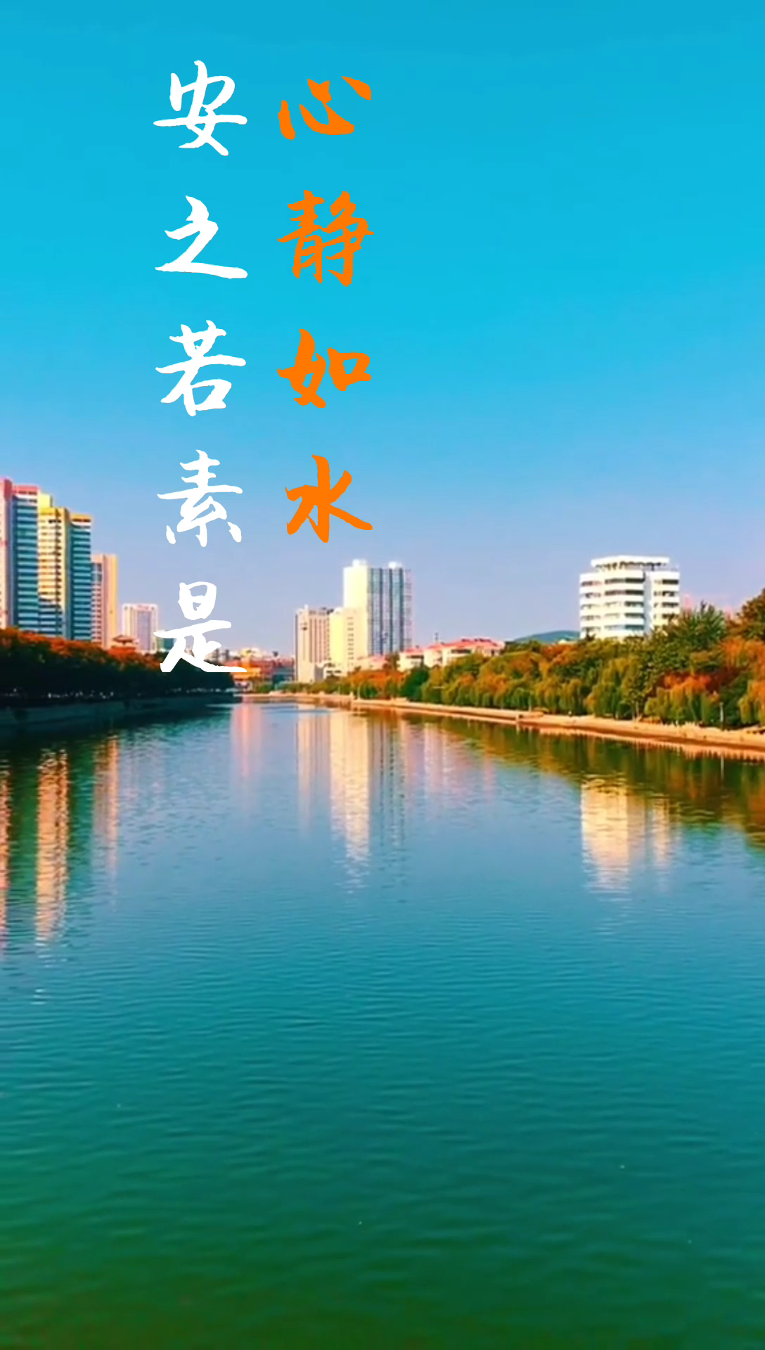 心静如水,安之若素是什么意思?