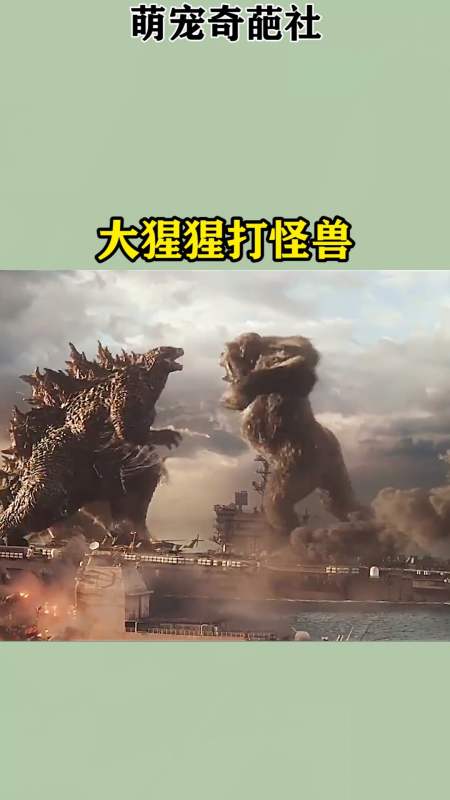 我要上热门#猩猩大战哥斯拉