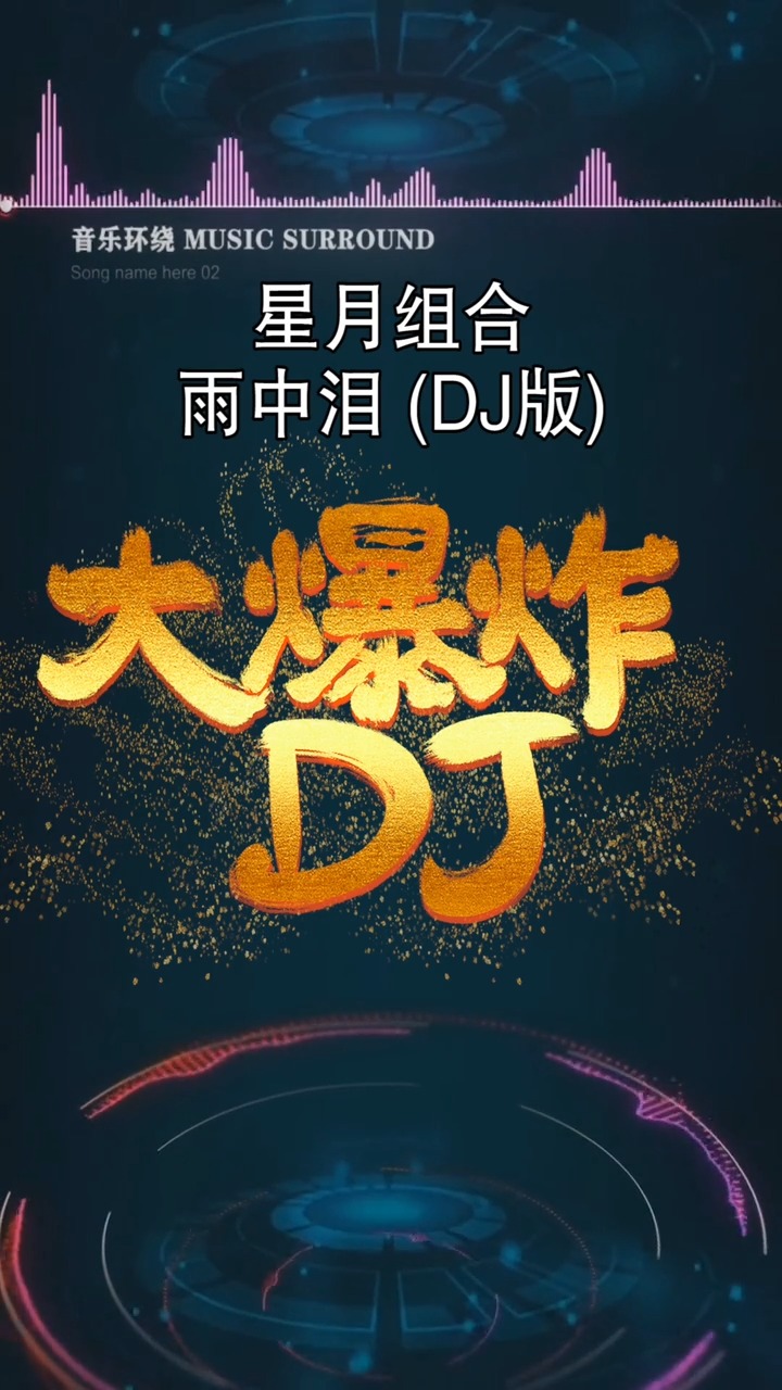星月组合-雨中泪dj版
