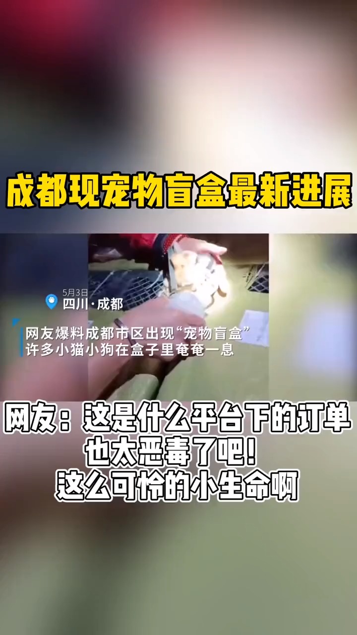 抵制宠物盲盒!成都宠物盲盒已被救下检疫
