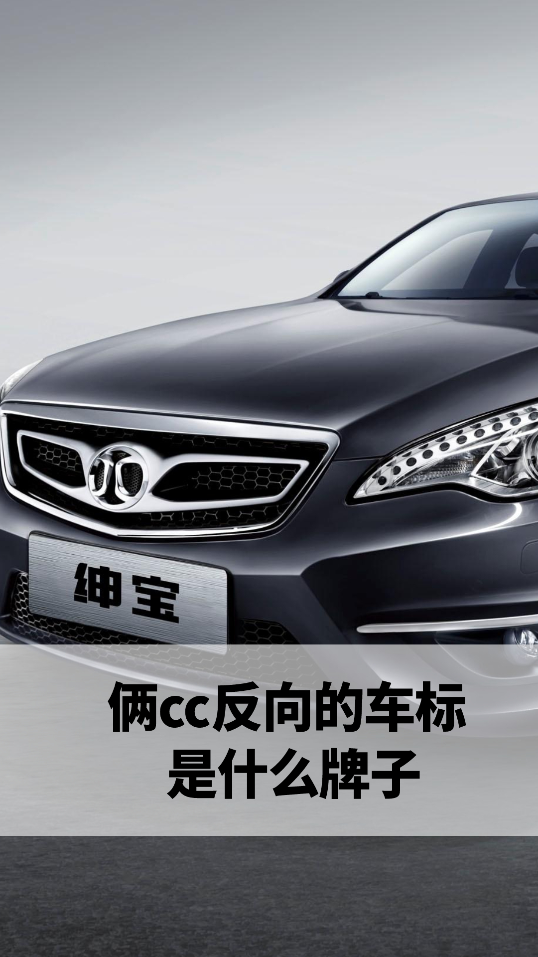 俩cc反向的车标是什么牌子