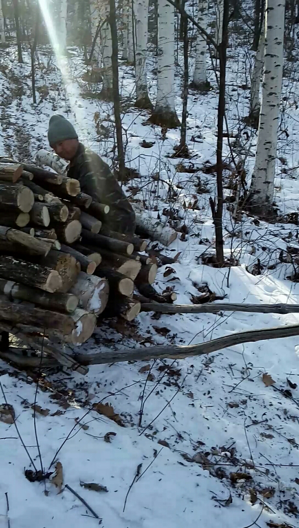 这一小爬犁比牛拉的还多,我哥不敢拉他让我拉