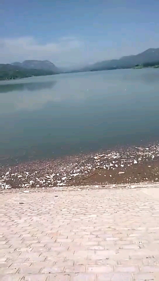 寿光发大水,村庄道路大棚都淹了