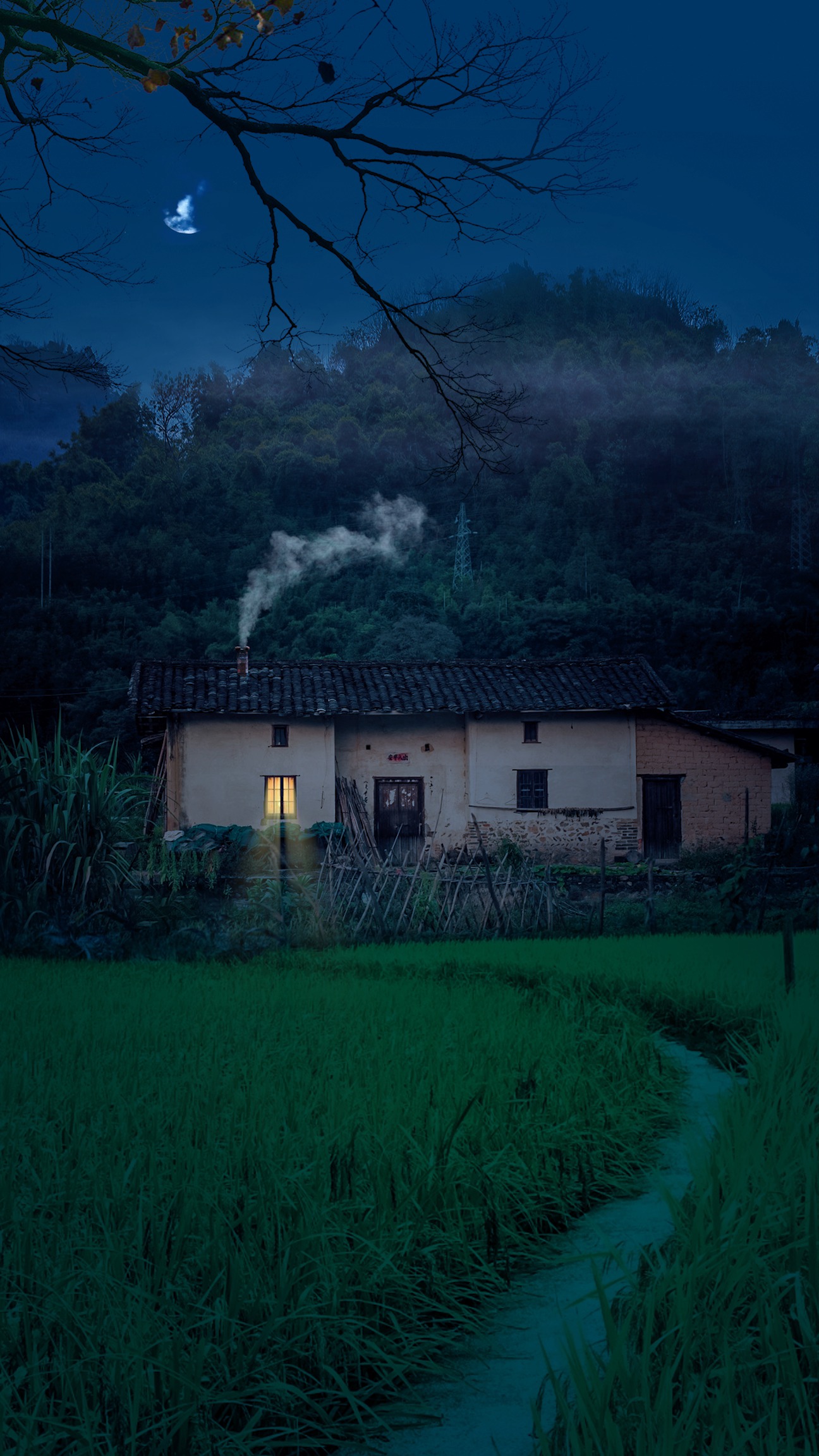 乡村生活#"月光所照,皆是故乡.