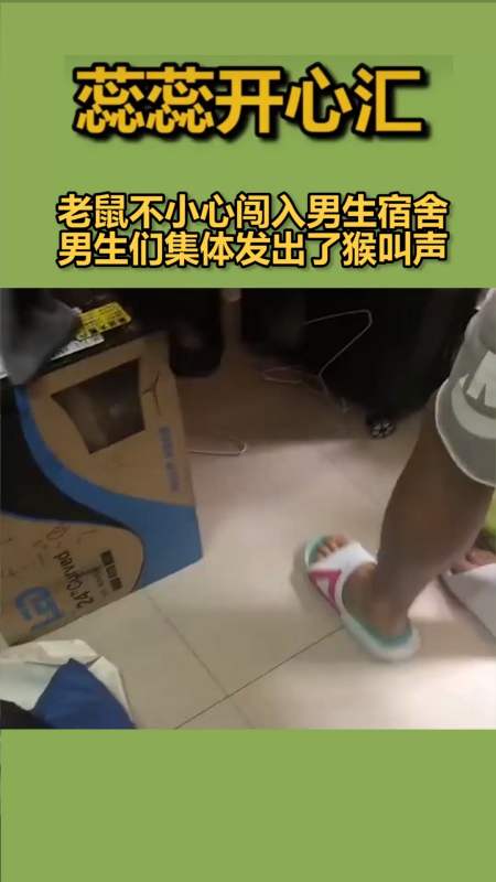 搞笑段子劇#老鼠不小心闖入男生宿舍,男生們集體發出了猴叫聲