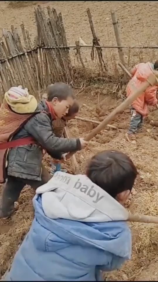 贫困地区的孩子,从小就会干活,唉