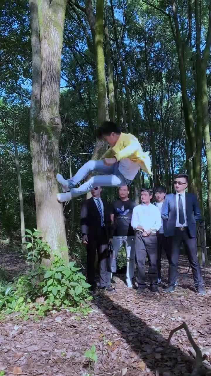 甄子丹善用的三连踹,后面有个马?