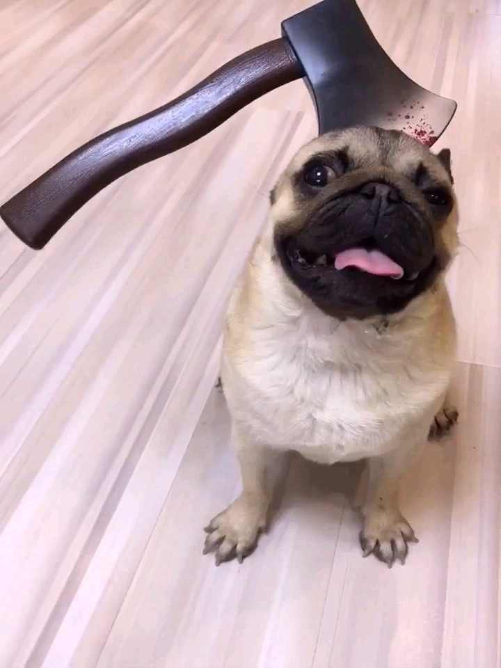 偶不做大哥好多年,斧头当头若等闲?