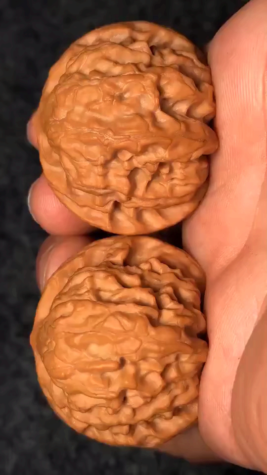 文玩核桃#野生白蛇谷