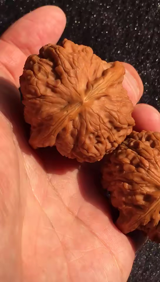 文玩核桃#血麒麟