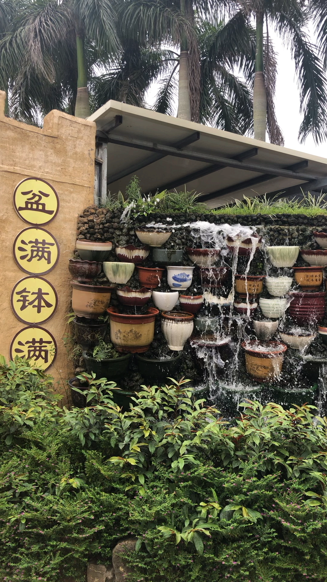 点赞的下半年都会赚得盆满钵满