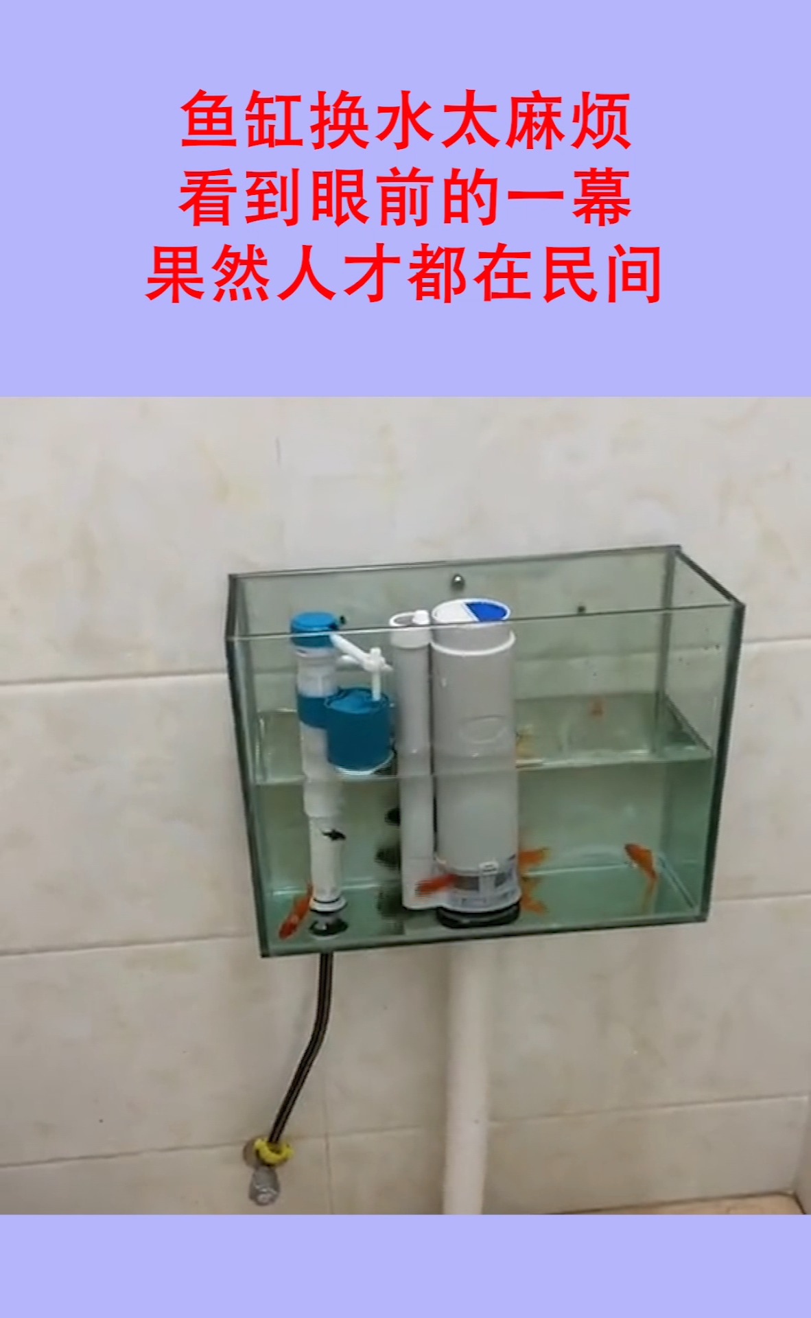 嫌鱼缸换水太麻烦,看到眼前的一幕,果然人才都在民间!