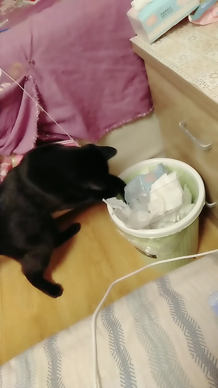 最喜欢的玩具掉垃圾桶了