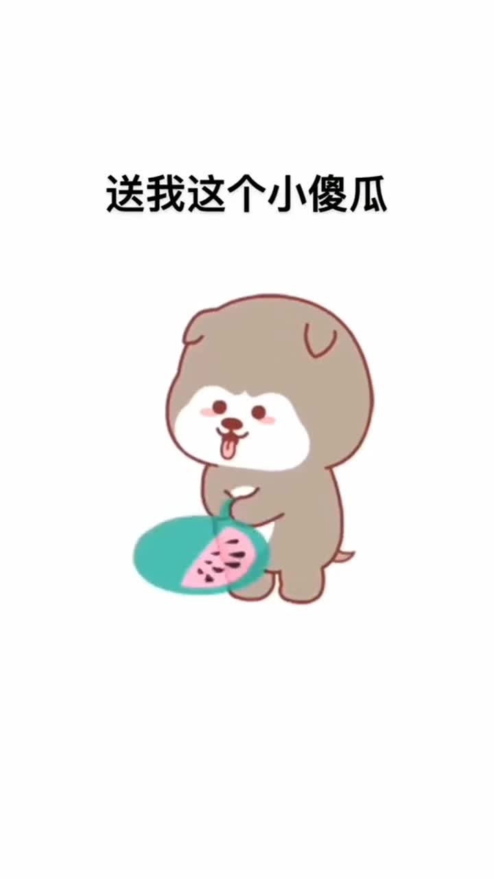 要不要买西瓜,买大西瓜送我这个小傻瓜!