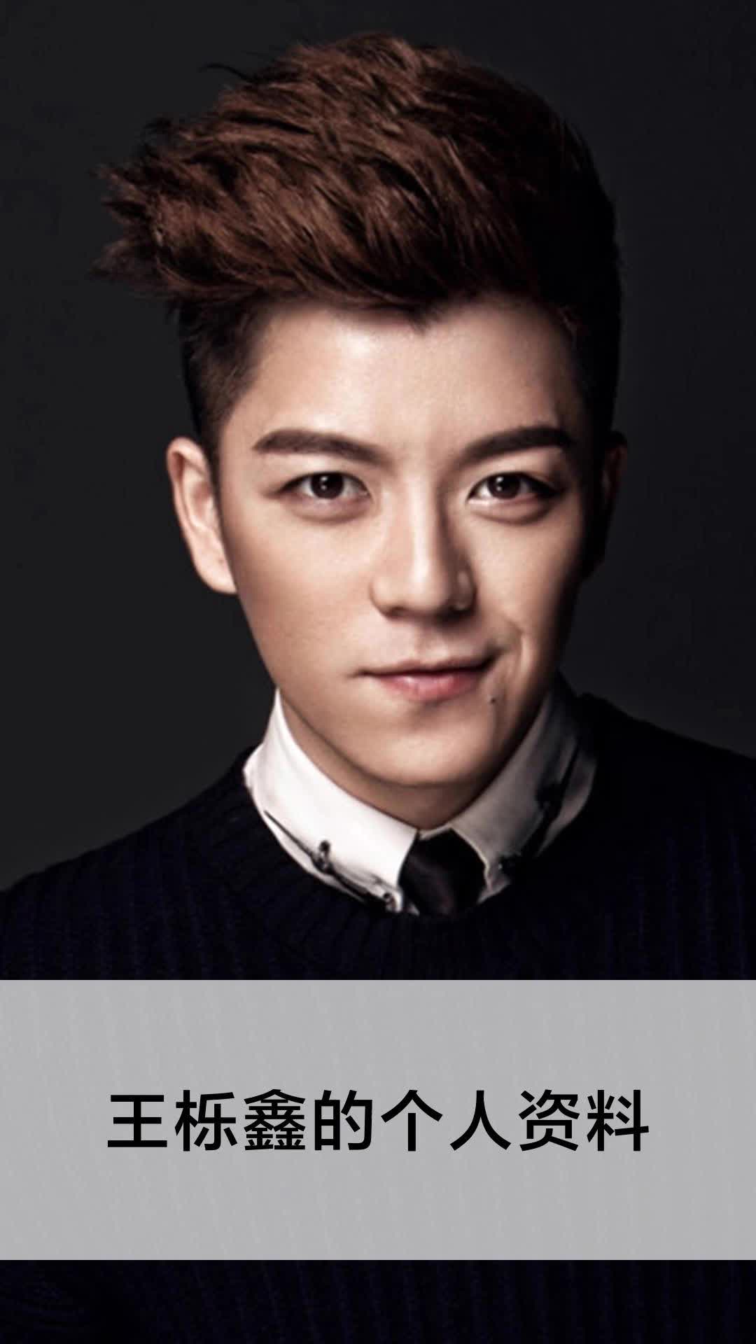 王栎鑫的个人资料