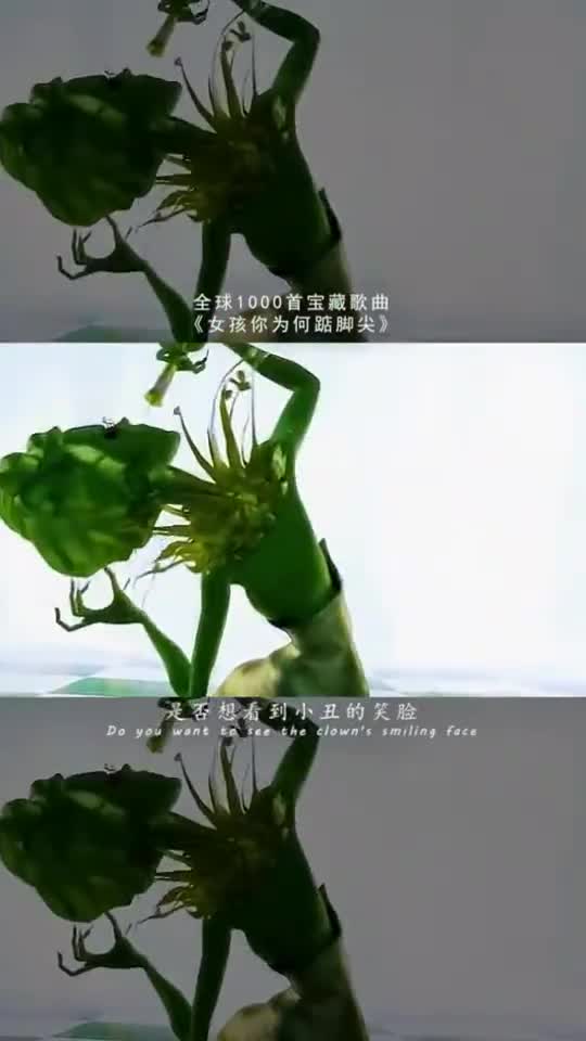 奇闻趣事抢先看#女孩你为何踮脚尖,是否想看那小丑的笑脸,我不是小丑