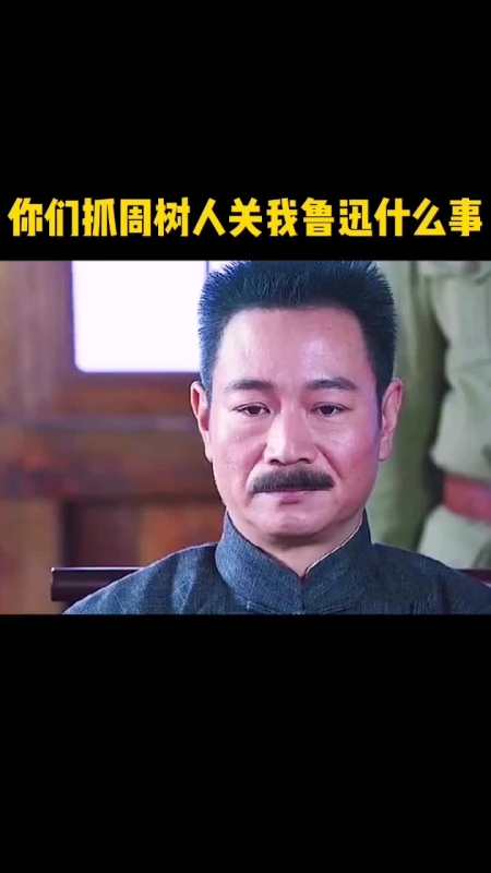 你们抓周树人关我鲁迅什么事