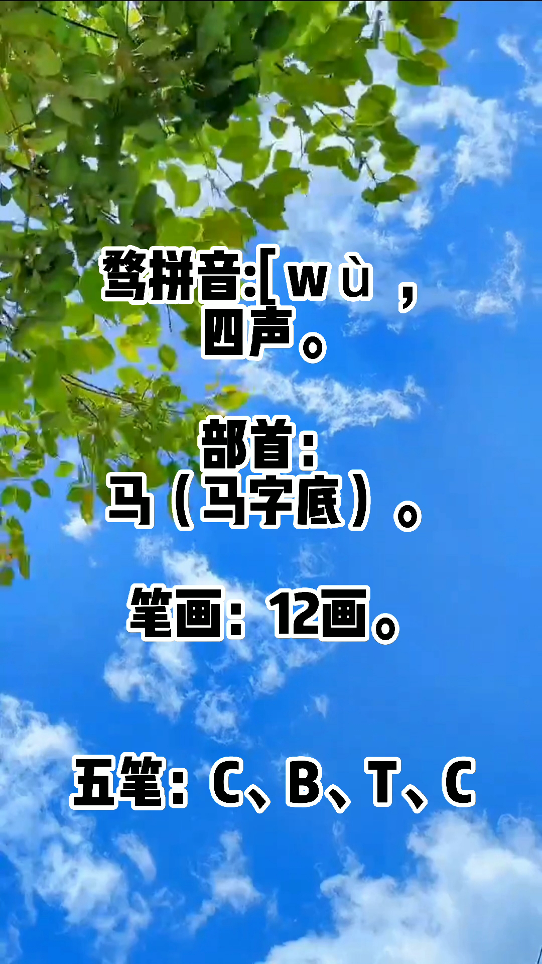 骛怎么读?你会吗?