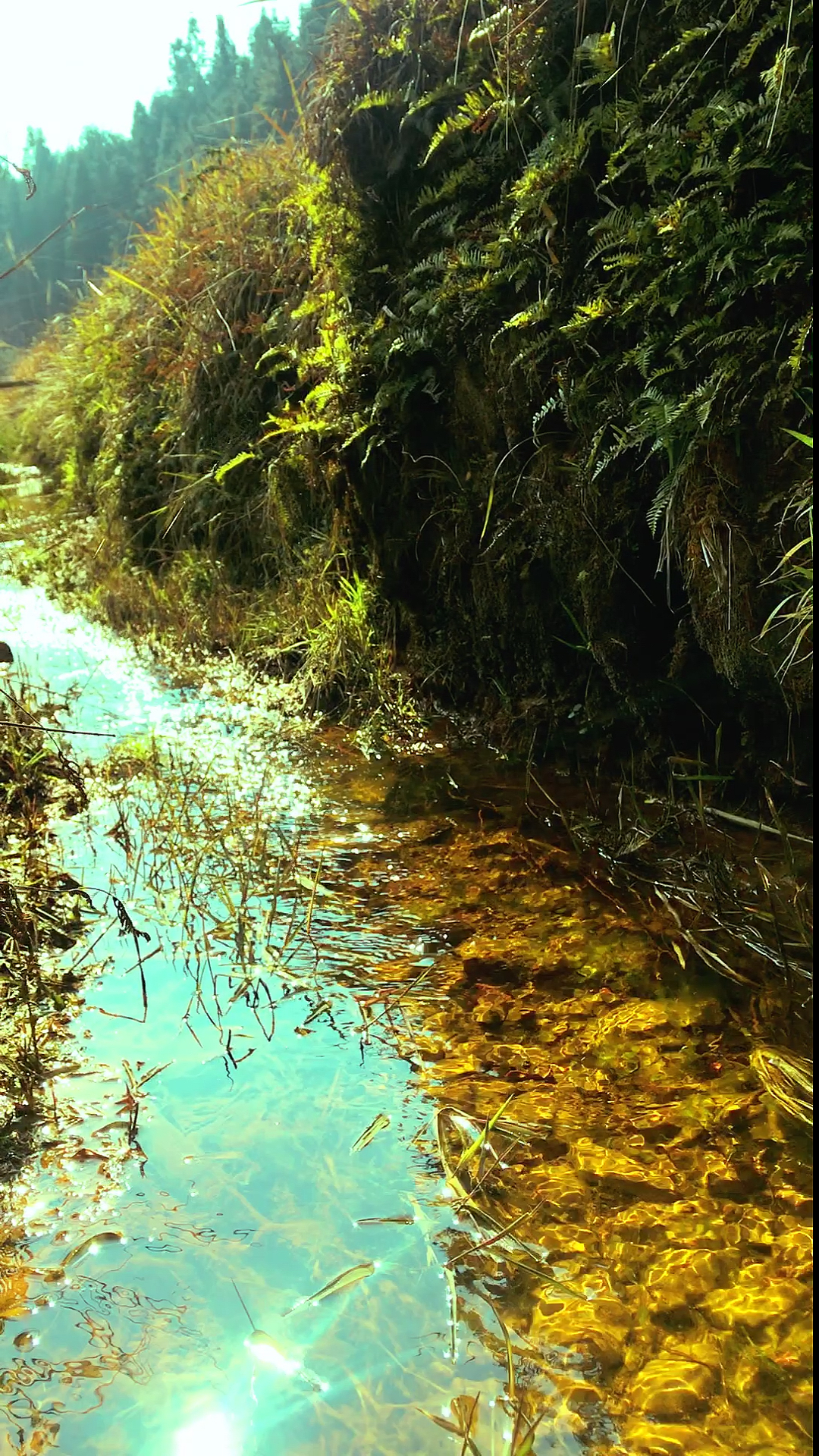 乡村生活##小溪流水