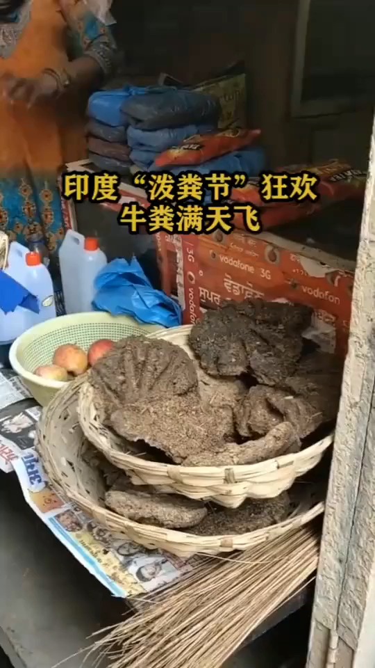 印度"泼粪节"狂欢,牛粪满天飞