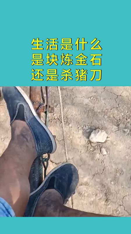 搞笑配音#生活是什么,是块炼金石,还是杀猪刀!