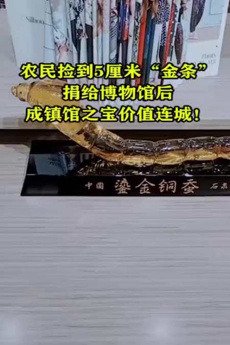 农民捡到宝,捐博物馆后成震馆之宝