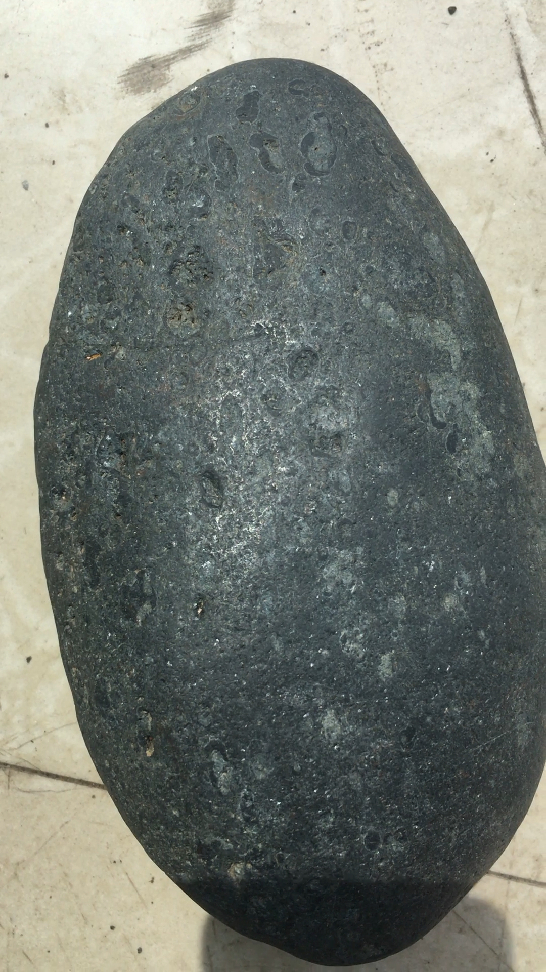 这个碳质球粒陨石的重1800克!满身银光闪烁