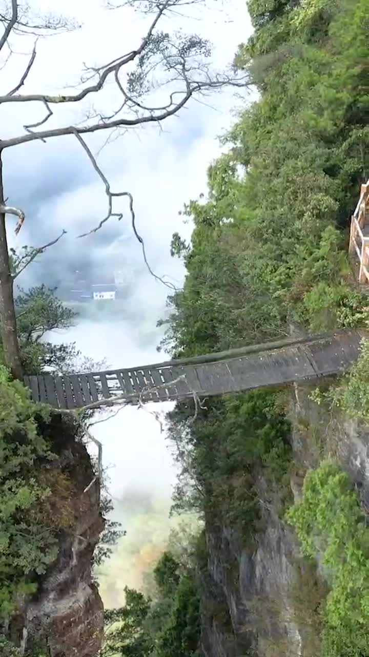 贵州深山一座古老的木桥,横跨险山之间,至今无人敢过