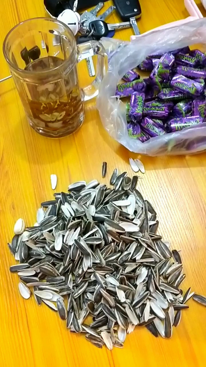 超强战斗力,一会一堆瓜子皮.