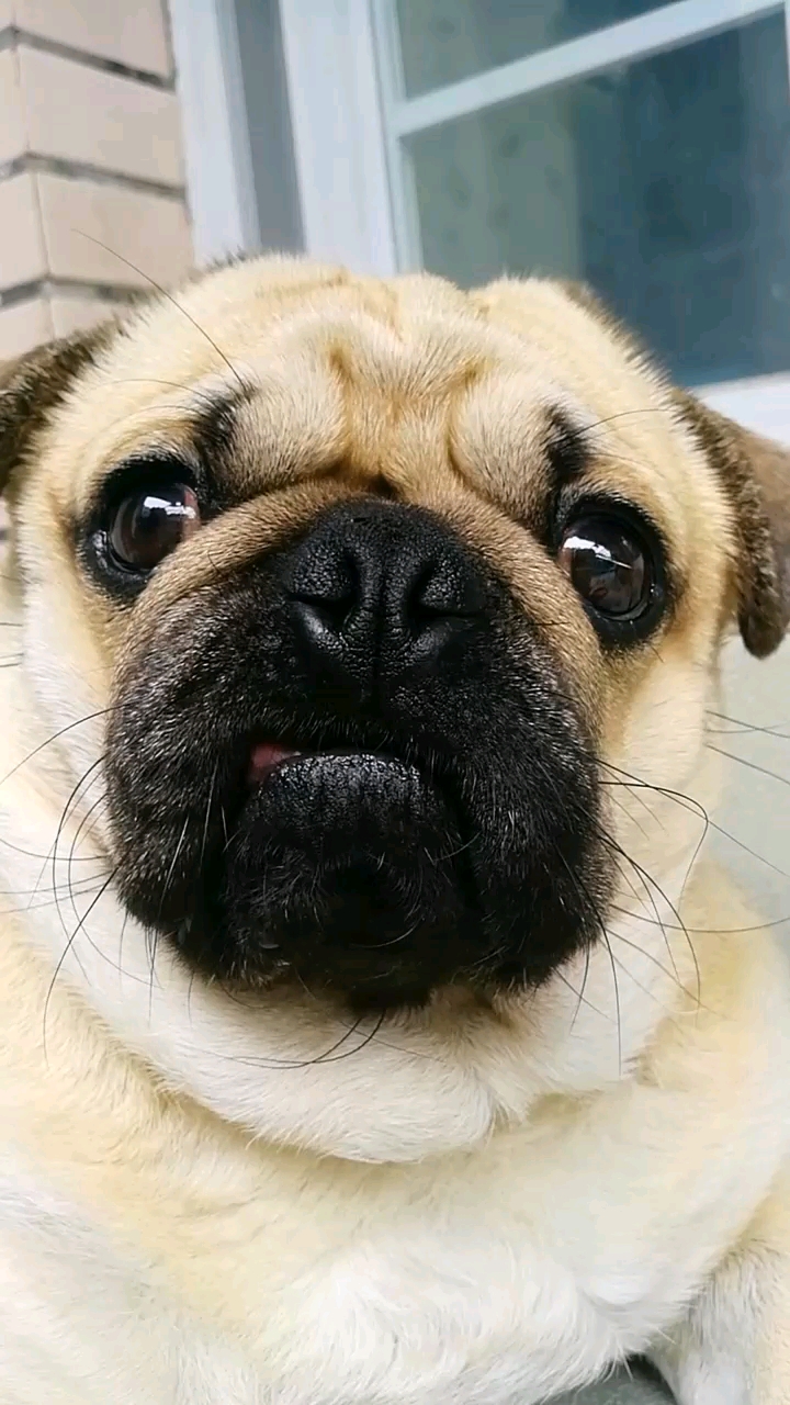 干啥呀?一惊一乍的