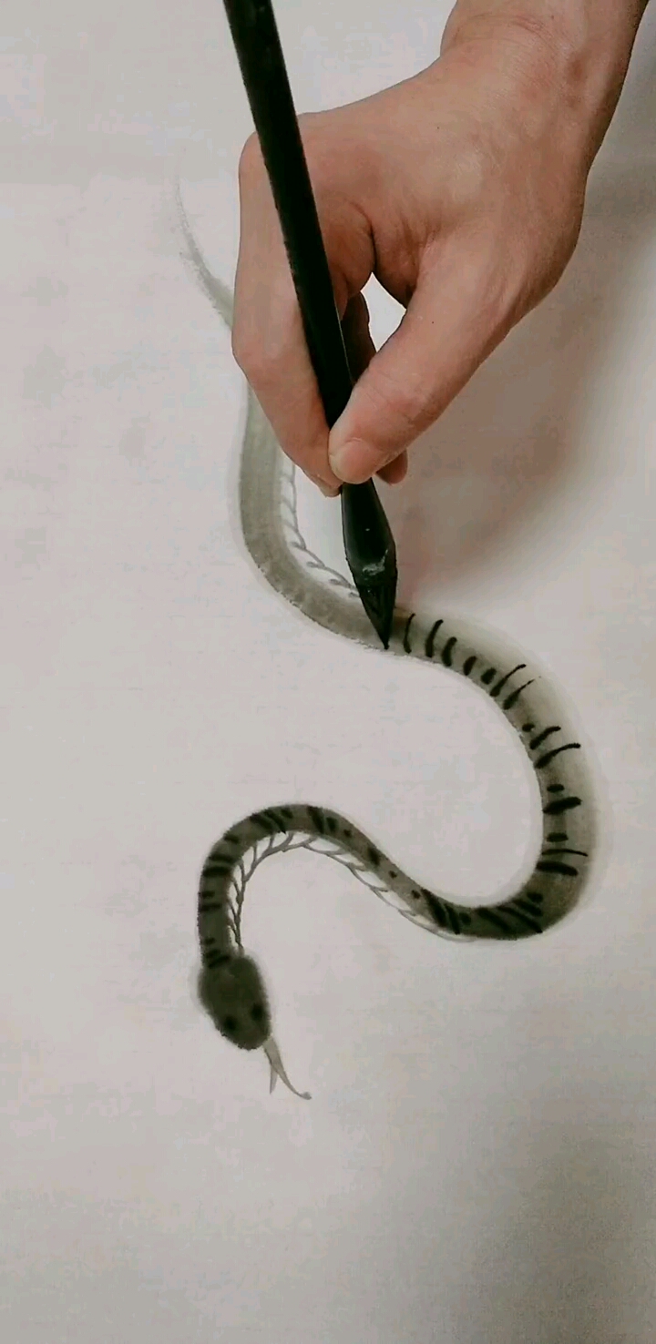 我要上热门#教你一笔画出蛇的形态